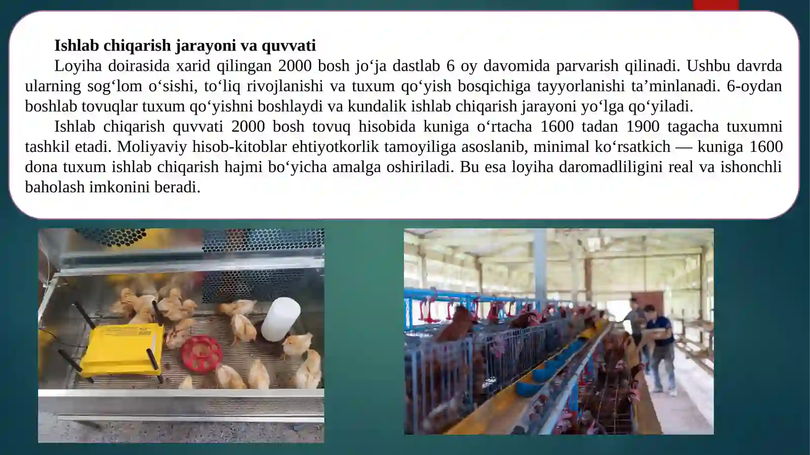 Product slide 4