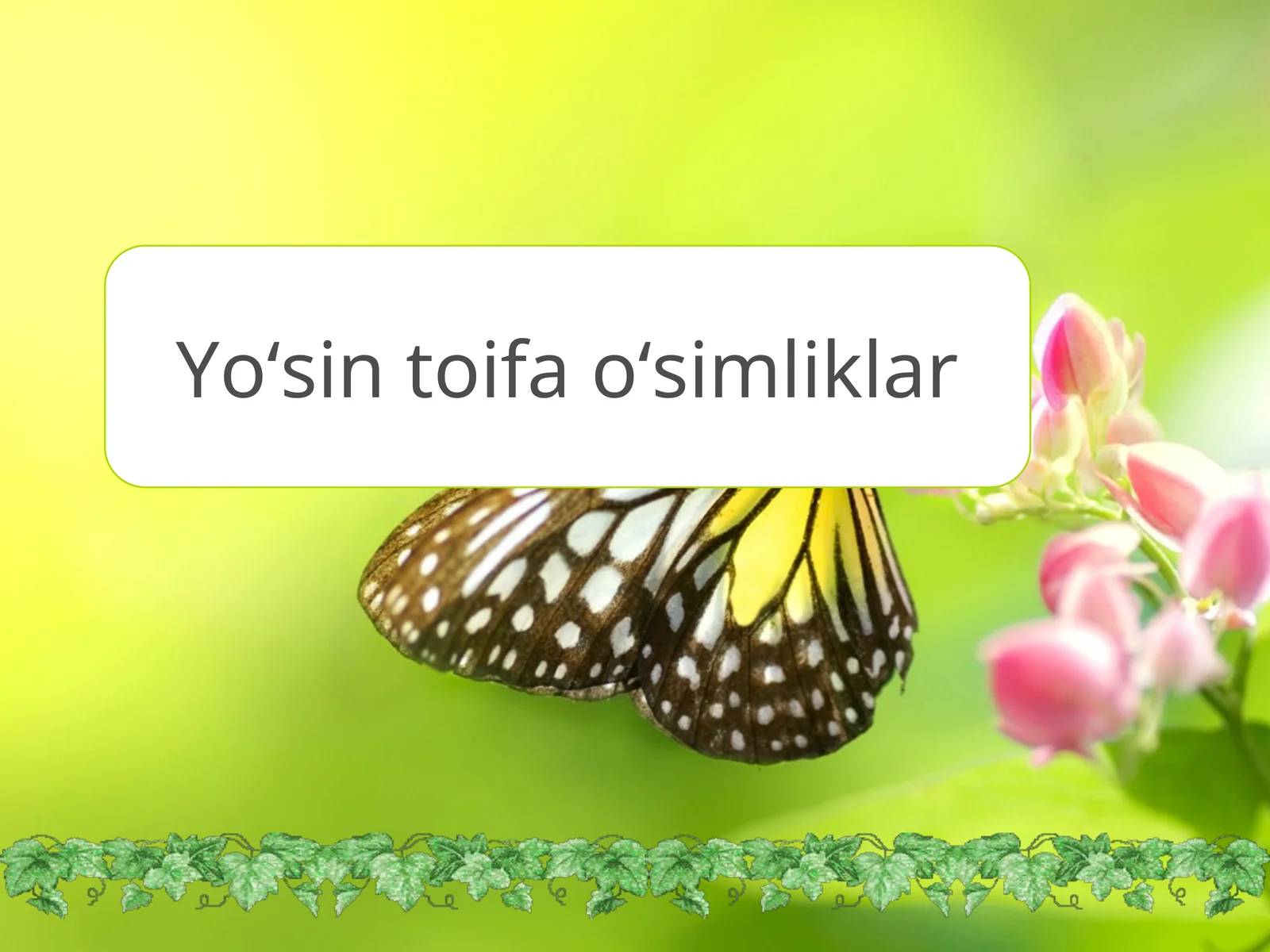 Yo‘sin toifa o‘simliklar
