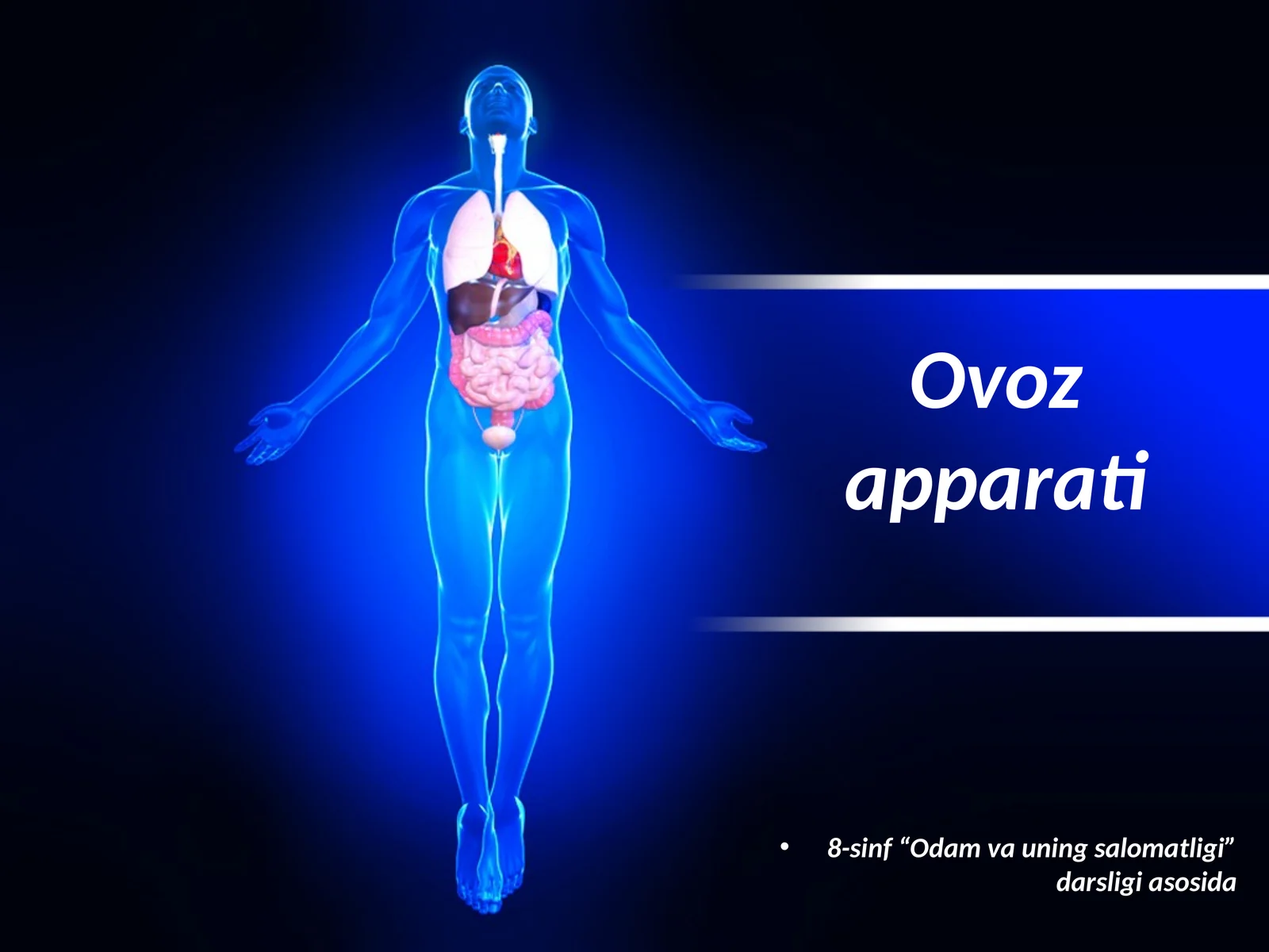 Ovoz apparati