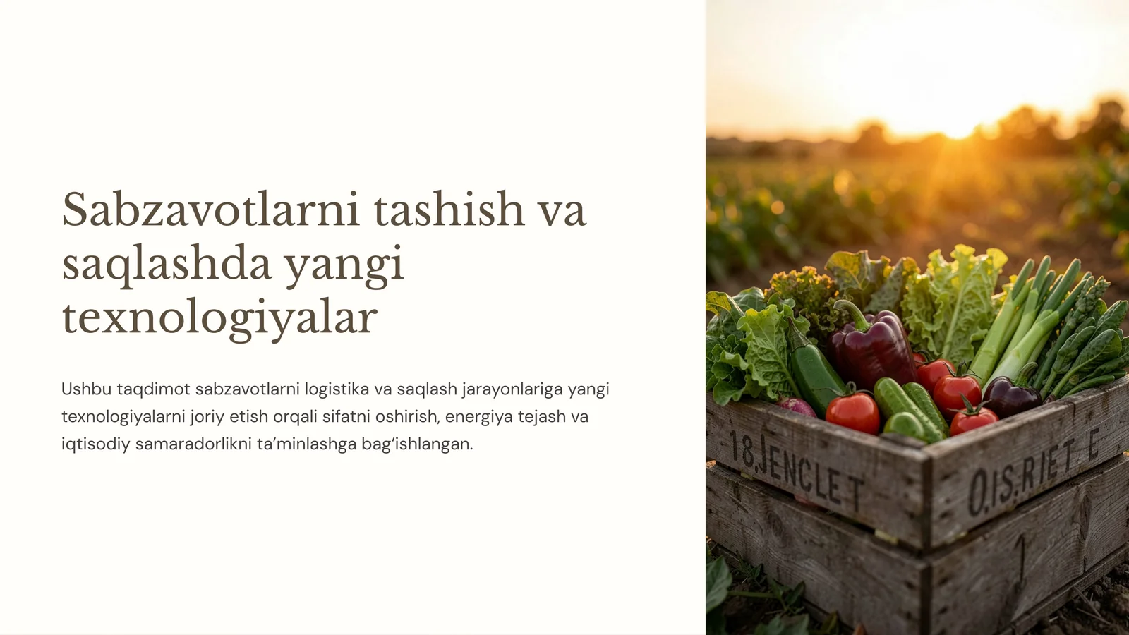 Sabzavotlarni tashish va saqlashda yangi texnologiyalar