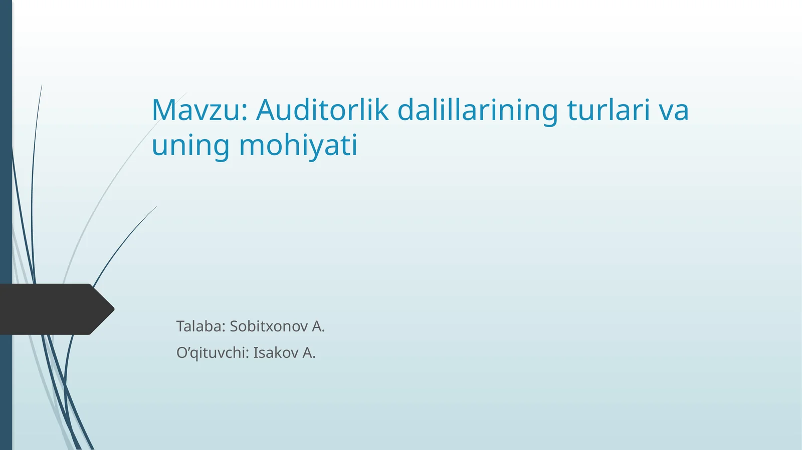 Auditorlik dalillari