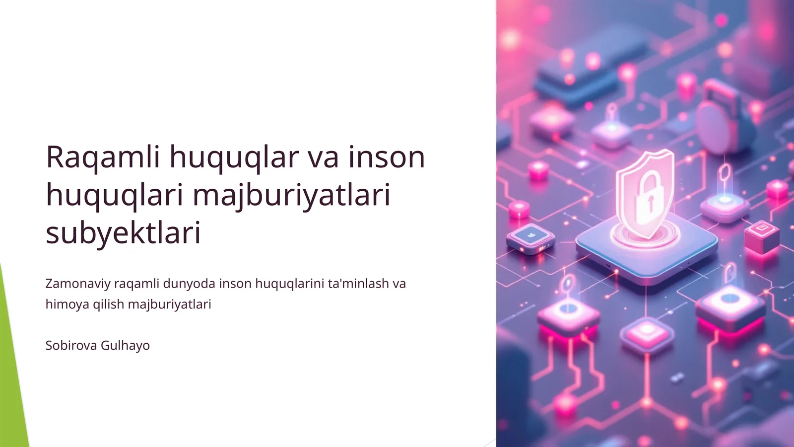 Raqamli_huquqlar_va_inson_huquqlari_majburiyatlari_subyektlari