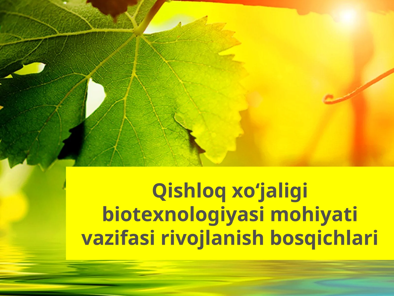 Qishloq xoʻjaligi biotexnologiyasi mohiyati vazifasi rivojlanish bosqichlari
