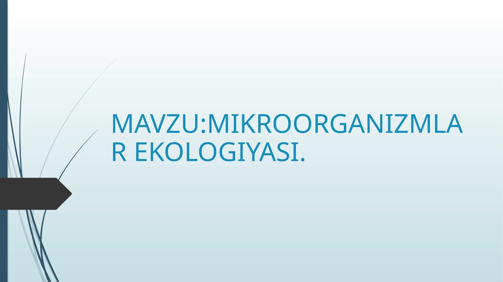 MIKROORGANIZMLAR EKOLOGIYASI