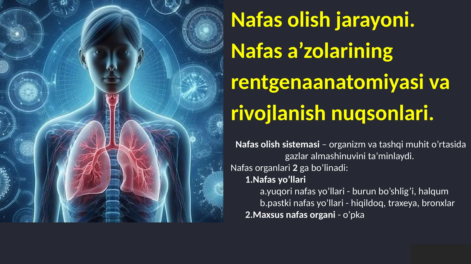 Nafas olish tizimi